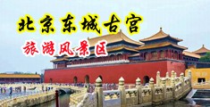 WWWW我要打飞机中国北京-东城古宫旅游风景区